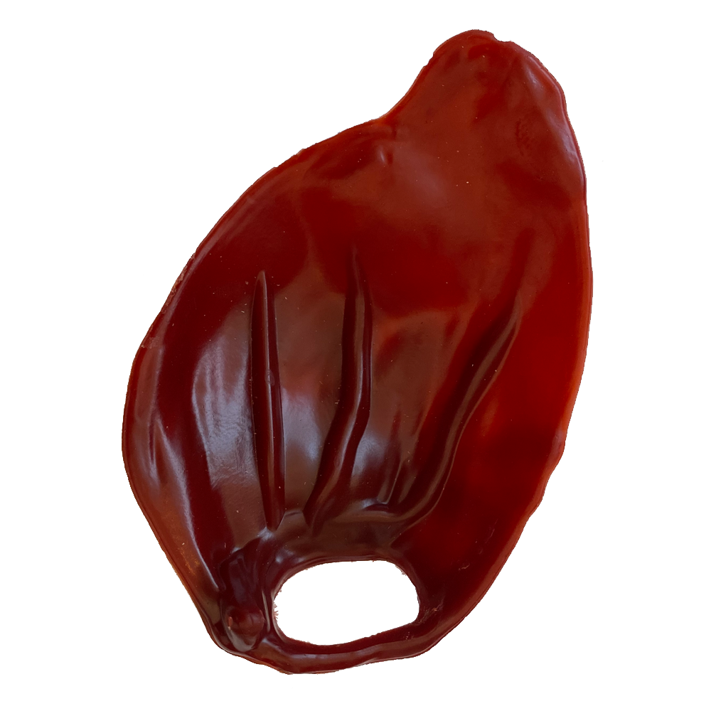 Natural Smoked Pig's Ear Vegetable Dog Chew